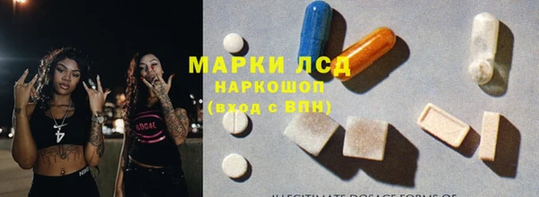 сатива Новодвинск