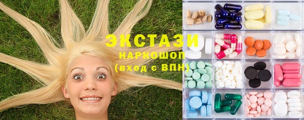 сатива Новодвинск