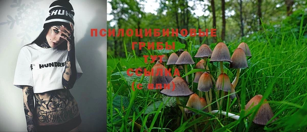 амфетамин Алексеевка